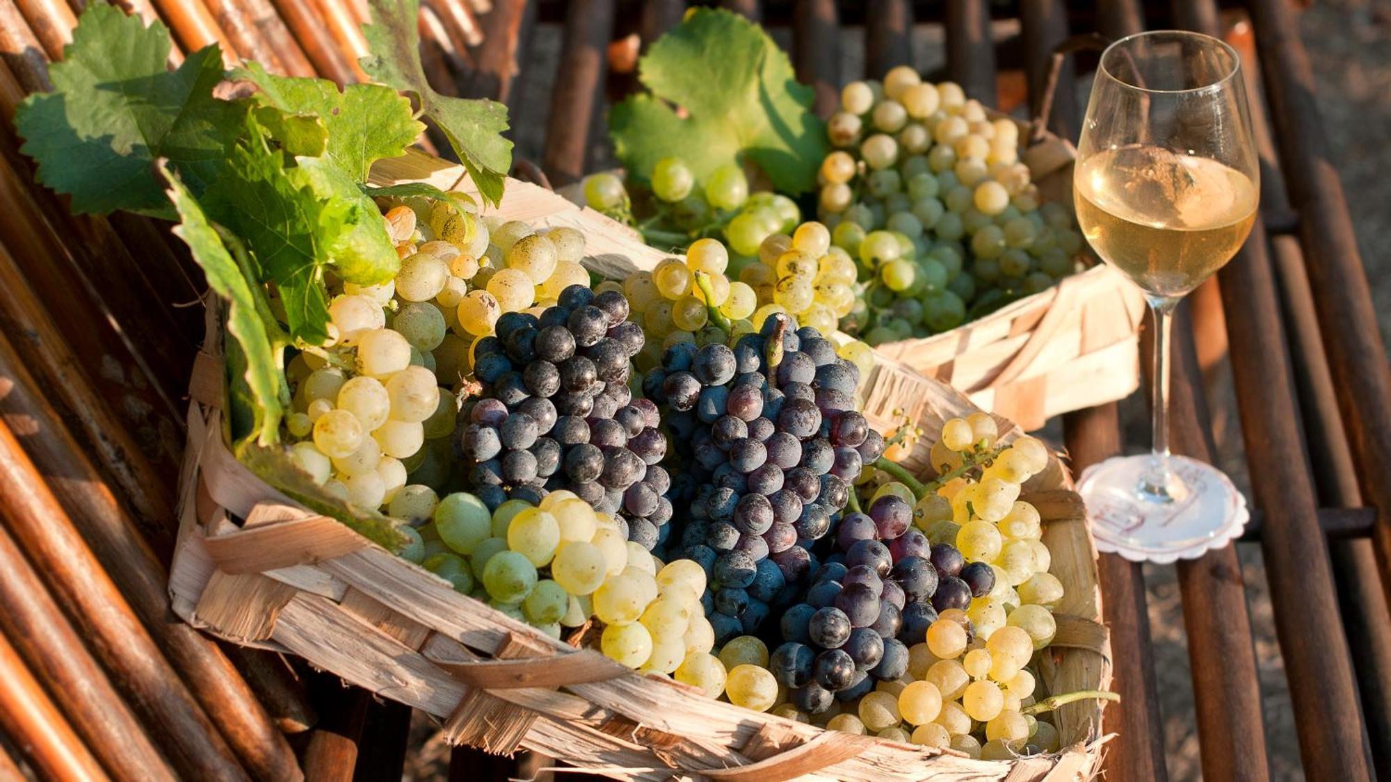 פרוסידה Albergo 'La Vigna' מראה חיצוני תמונה