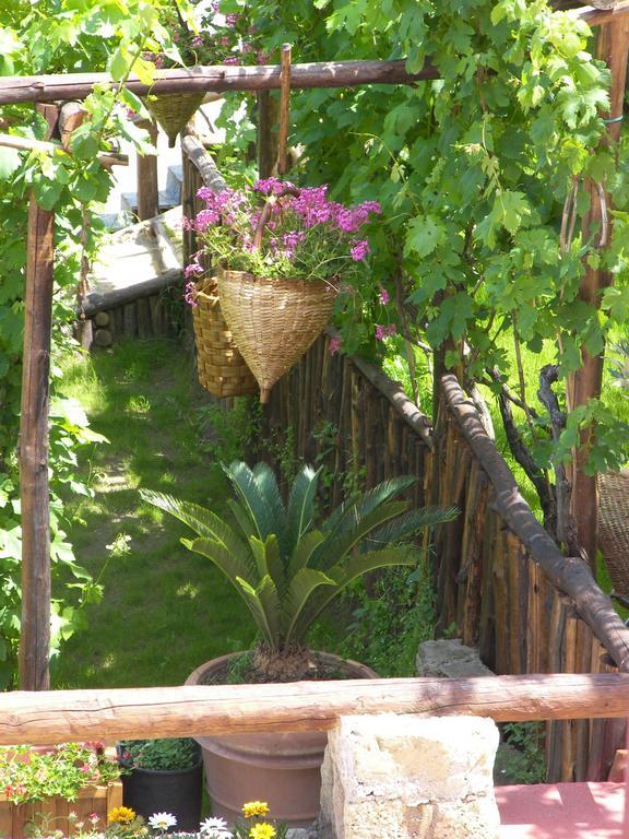 פרוסידה Albergo 'La Vigna' מראה חיצוני תמונה